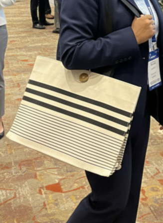 The Horizon Stripe Tote